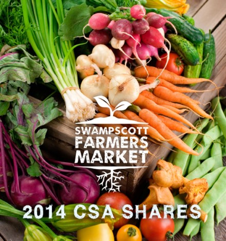 Farmer's Market - Organic Vegetables