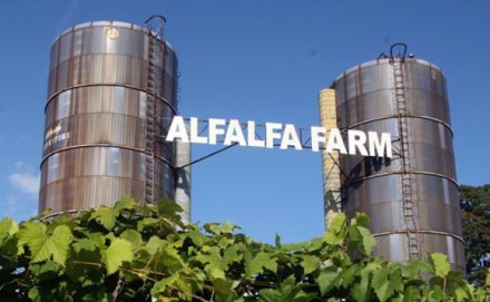 AlfalfaFarm