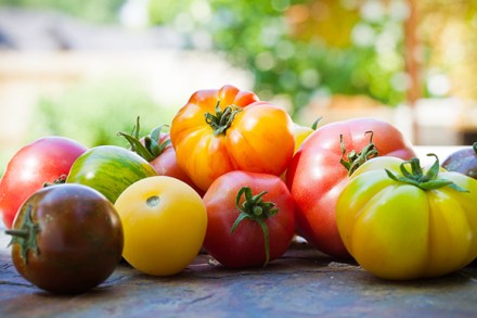Heirloom_Tomatoes-1