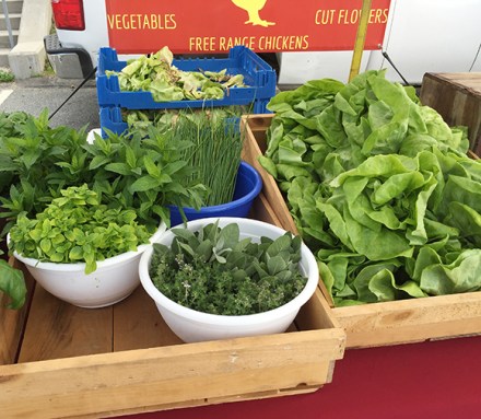 SwampscottFarmersMarket1