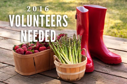 2016VolunteersNeeded
