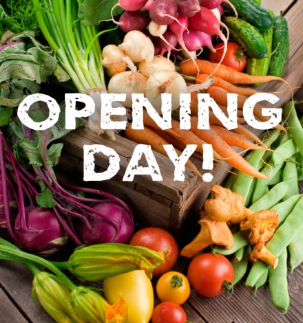 A selection of summer seasonal organic vegetables on display. Shallow dof