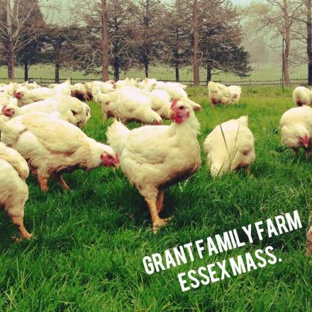 13177175_10154186884252342_1292199052016245856_n